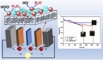 Enhancement Of Oxidative Stability Of Pem Fuel Cell By Introduction Of Ho Radical Scavenger In Nafion Ionomer Journal Of Membrane Science X Mol
