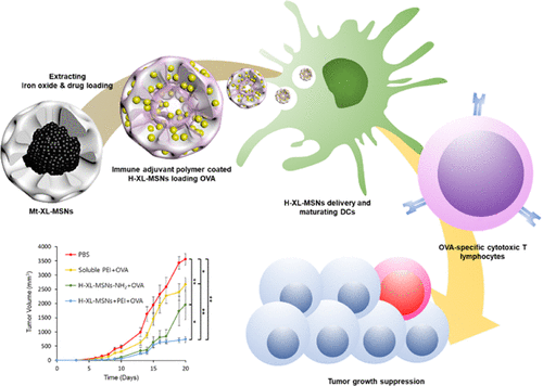 Hollow Mesoporous Silica Nanoparticles With Extra-Large Mesopores For ...