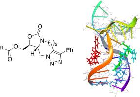 Rna Drug Discovery Conformational Restriction Enhances Specific Modulation Of The T Box Riboswitch Function Bioorganic Medicinal Chemistry X Mol