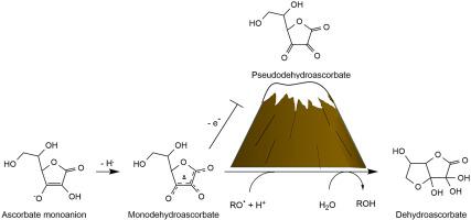 Ascorbic Acid The Chemistry Underlying Its Antioxidant Properties Free Radical Biology And Medicine X Mol