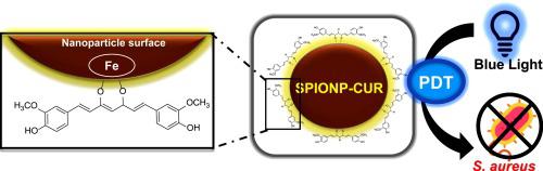 Conjugation Of Superparamagnetic Iron Oxide Nanoparticles And Curcumin Photosensitizer To Assist In Photodynamic Therapy Colloids And Surfaces B Biointerfaces X Mol