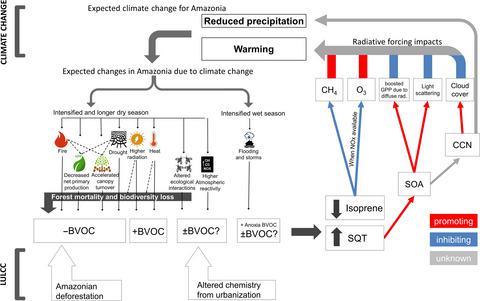 Amazonian Biogenic Volatile Organic Compounds Under Global Change Global Change Biology X Mol