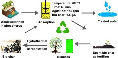 Sustainable And Eco Friendly Approach For Phosphorus Recovery From Wastewater By Hydrothermally Carbonized Microalgae Study On Spent Bio Char As Fertilizer Journal Of Water Process Engineering X Mol