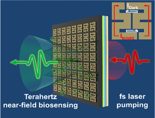 Near-field Terahertz Sensing Of HeLa Cells And Pseudomonas Based On ...