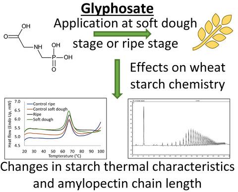 Pre-harvest glyphosate application and effects on wheat starch ...