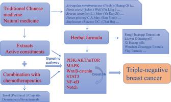 The signaling pathways and targets of traditional Chinese medicine and ...