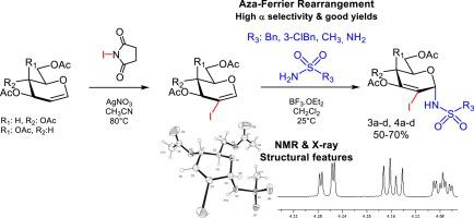 Synthesis And Structure Of Novel Iodinated N Glycosyl Sulfonamides Through Aza Ferrier Reaction Of 2 Substituted Glycals Tetrahedron Letters X Mol
