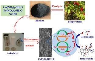 High Efficiency Heterogeneous Fenton-like Catalyst Biochar Modified ...