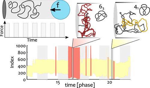 Separation Of Geometrical And Topological Entanglement In Confined Polymers Driven Out Of Equilibrium Acs Macro Letters X Mol