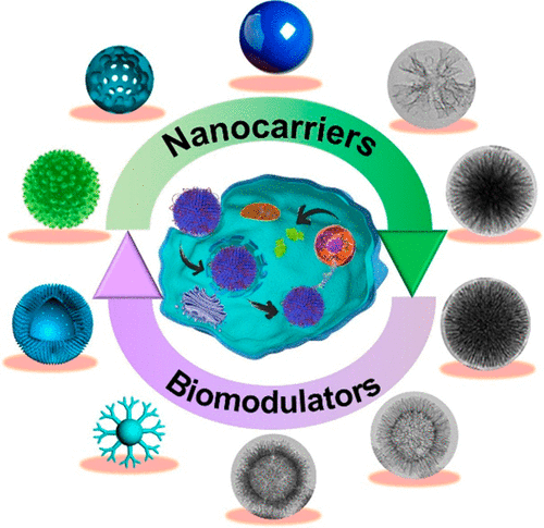 Silica-Based Nanoparticles For Biomedical Applications: From ...