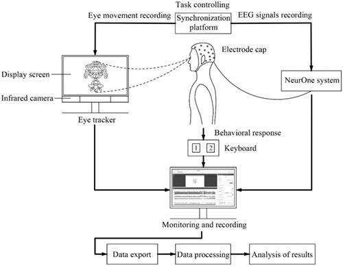 Aesthetic Study Of Patterns Based On Event Related Potential And Eye Tracking Taking The Decorative Patterns Of The Tang Dynasty As An Example Journal Of The Society For Information Display X Mol