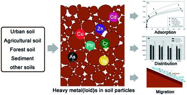 Effects Of Soil Particle Size On The Adsorption, Distribution, And ...