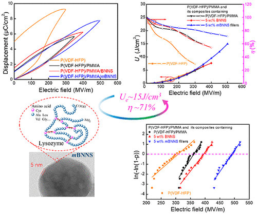 Improving Energy Storage Density And Efficiency Of Polymer Dielectrics By Adding Trace Biomimetic Lysozyme Modified Boron Nitride Acs Applied Energy Materials X Mol