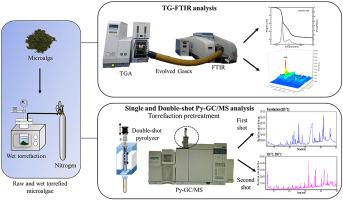 Effects Of Dry And Wet Torrefaction Pretreatment On Microalgae Pyrolysis Analyzed By Tg Ftir And Double Shot Py Gc Ms Energy X Mol