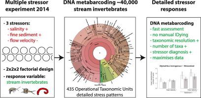 Dna Metabarcoding改进了对河床无脊椎动物对盐度增加 沉积物细密沉积和流速降低的多种应激反应的检测的改进 Science Of The Total Environment X Mol