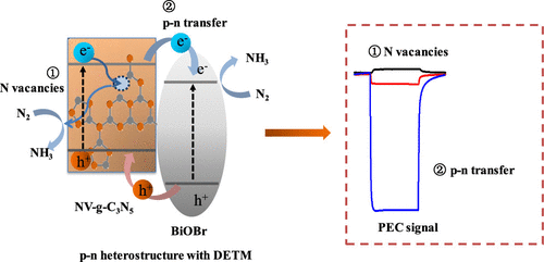 Photoinduced Charge Separation Via The Double Electron Transfer Mechanism In Nitrogen Vacancies G C3n5 Biobr For The Photoelectrochemical Nitrogen Reduction Acs Applied Materials Interfaces X Mol