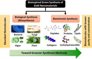 Toward Greener Synthesis Of Gold Nanomaterials: From Biological To ...