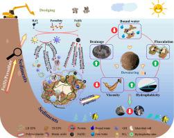 Achieved Deep-dewatering Of Dredged Sediments By Fe(II) Activating ...