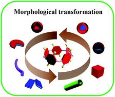 Morphology Transformation Of Pillararene-based Supramolecular ...