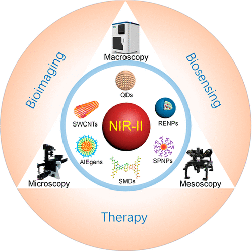 Advanced Fluorescence Imaging Technology in the Near-Infrared-II Window ...