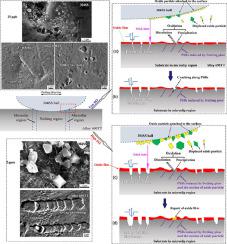 高温纯水中溶解氧对690TT合金局部滑移微动腐蚀的影响,Journal Of Nuclear Materials - X-MOL