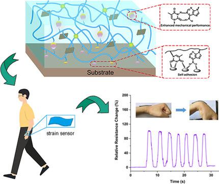 Highly Tough Stretchable Self Adhesive And Strain Sensitive Dna