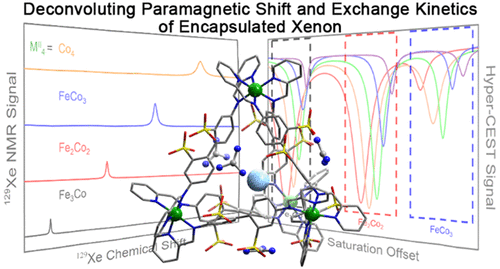 Paramagnetic Shifts And Guest Exchange Kinetics In Confe4 N Metal Organic Capsules Inorganic Chemistry X Mol