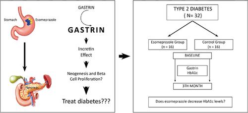 Short Term Effect Of Hypergastrinemia Following Esomeprazole Treatment On Well Controlled Type 2 Diabetes Mellitus A Prospective Study Endocrine Metabolic Immune Disorders Drug Targets X Mol