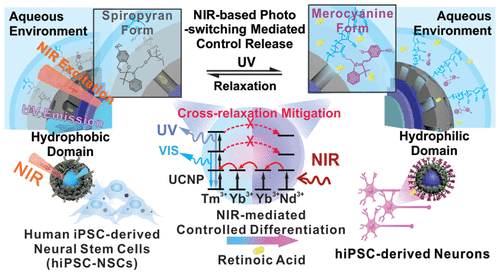 Remote Control of Neural Stem Cell Fate Using NIR-Responsive ...