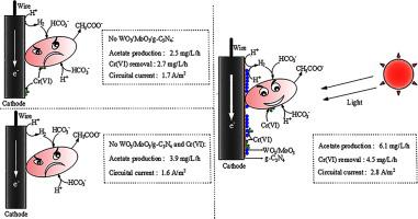 Efficient Conversion Of Bicarbonate Hco3 To Acetate And Simultaneous Heavy Metal Cr Vi Removal In Photo Assisted Microbial Electrosynthesis Systems Combining Wo3 Moo3 G C3n4 Heterojunctions And Serratia Marcescens Electrotroph Chemical Engineering