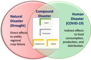 Compound Natural And Human Disasters Managing Drought And Covid 19 To Sustain Global Agriculture And Food Sectors Science Of The Total Environment X Mol