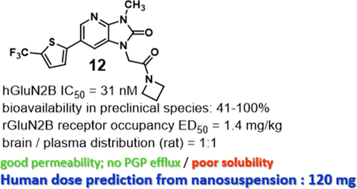 Design Synthesis And Preclinical Evaluation Of 3 Methyl 6 5 Thiophenyl 1 3 Dihydro Imidazo 4 5 B Pyridin 2 Ones As Selective Glun2b Negative Allosteric Modulators For The Treatment Of Mood Disorders Journal Of Medicinal Chemistry X Mol