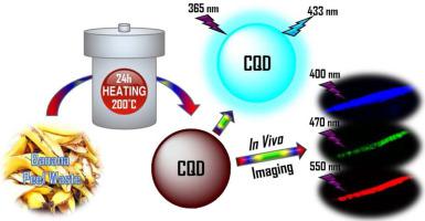 Sustainable Synthesis Of Carbon Quantum Dots From Banana Peel Waste ...