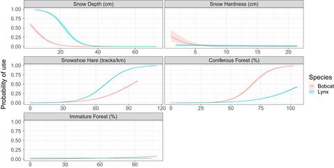 Habitat suitability and landscape connectivity for an expanding population  of bobcats