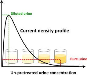 Urine Dilution Boosts The Electricity Production In Bio Electrochemical Systems Powered By Un Pretreated Human Urine Bioelectrochemistry X Mol