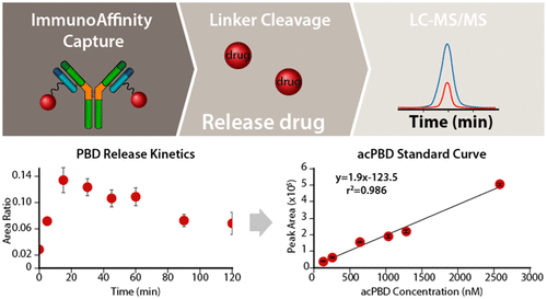 Conjugation Site Influences Antibody Conjugated Drug Pk Assays Case Studies For Disulfide Linked Self Immolating Next Generation Antibody Drug Conjugates Analytical Chemistry X Mol