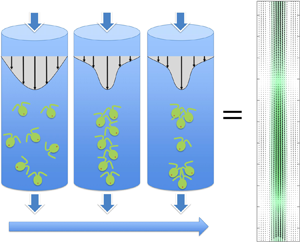 垂直管内旋流微生物悬浮液的分叉与稳定性 Journal Of Fluid Mechanics X Mol