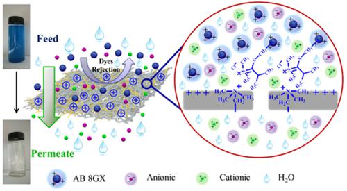 Tailoring Polyethersulfone/quaternary Ammonium Polysulfone ...