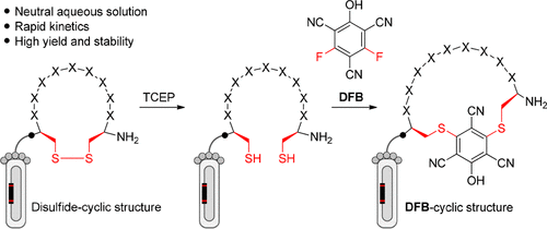 Biocompatible and Rapid Cyclization of Peptides with 2,4-Difluoro