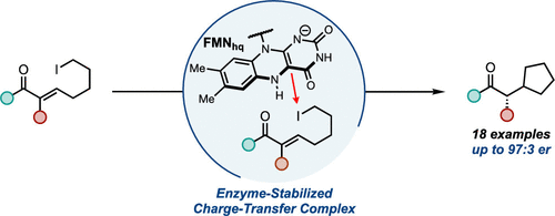 Photoenzymatic Generation Of Unstabilized Alkyl Radicals: An Asymmetric ...