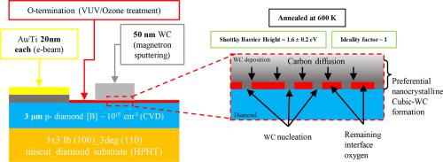 Comprehensive Nanoscopic Analysis Of Tungsten Carbide Oxygenated Diamond Contacts For Schottky Barrier Diodes Applied Surface Science X Mol