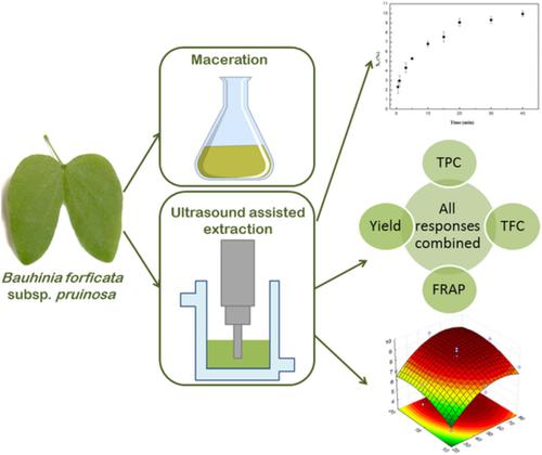 Optimization Of Ultrasound‐assisted Extraction Of Bioactive Compounds ...