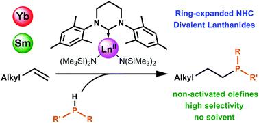 Ln Ii Amido Complexes Coordinated By Ring Expanded N Heterocyclic Carbenes Promising Catalysts For Olefin Hydrophosphination Chemical Communications X Mol