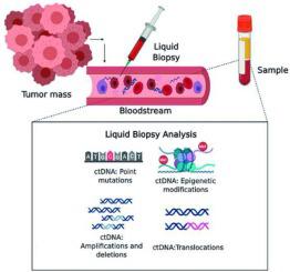 Ctdna As A Cancer Biomarker A Broad Overview Critical Reviews In Oncology Hematology X Mol