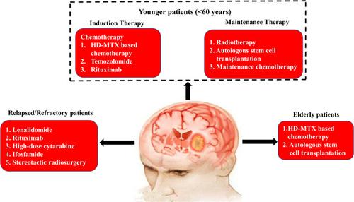 Advances And Challenges In The Treatment Of Primary Central Nervous ...