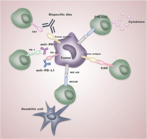 Ten Year Update Of The International Registry On Cytokine Induced