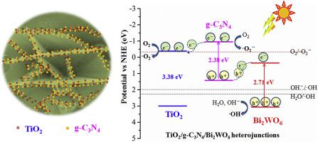Enhanced Photocatalytic Characteristics And Low Selectivity Of A Novel Z Scheme Tio2 G C3n4 Bi2wo6 Heterojunction Under Visible Light Materials Science In Semiconductor Processing X Mol