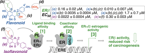 Sar Study On Estrogen Receptor A B Activity Of Iso Flavonoids Importance Of Prenylation C Ring Un Saturation And Hydroxyl Substituents Journal Of Agricultural And Food Chemistry X Mol