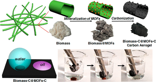 Biomass@MOF-Derived Carbon Aerogels With A Hierarchically Structured ...