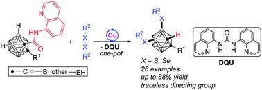 8-Aminoquinoline As A Bidentate Traceless Directing Group For Cu ...